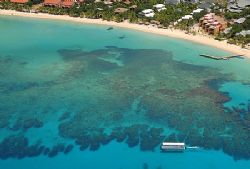 Glass bottom boat touring the reef of Roatan, Honduras. by Shawn Jackson 